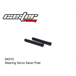 SK015  Steering Servo Saver Post