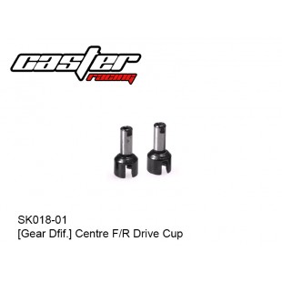SK018-01  [Gear Dfif.] Centre F/R Drive Cup