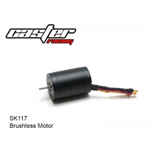 SK117  Brushless Motor 45A