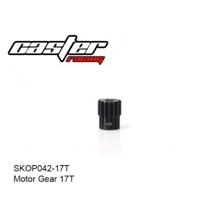 SKOP042-17T  Motor Gear 17T,48Pitch